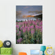 Mount Crowfoot At Bow Summit With Fireweed In Foreground Wall Mural