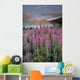 Mount Crowfoot At Bow Summit With Fireweed In Foreground Wall Mural