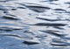 Ice Patterns On Ghost Lake Near Cochrane, Alberta Canada Wall Mural
