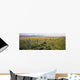 Fence And Barley Crop Wall Mural