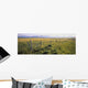 Fence And Barley Crop Wall Mural