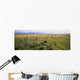 Fence And Barley Crop Wall Mural
