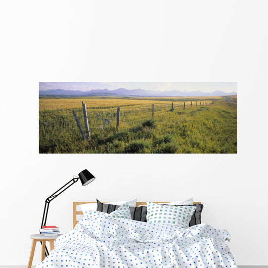 Fence And Barley Crop Wall Mural