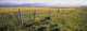 Fence And Barley Crop Wall Mural