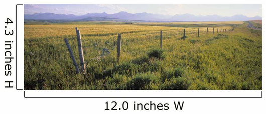 Fence And Barley Crop Wall Mural