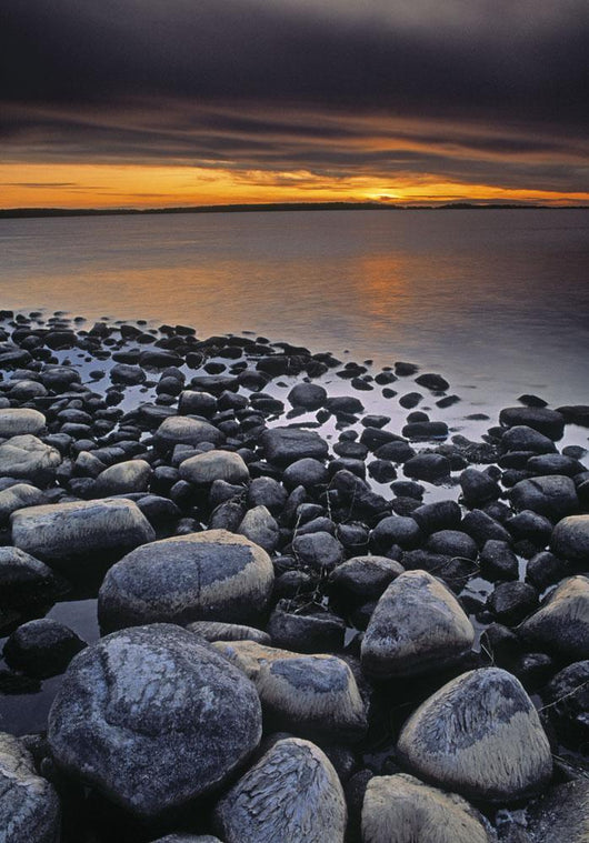 Alberta Canada Wall Mural