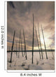 Burnt Pieces Of Black Spruce, Boggy Lake, Alberta Canada Wall Mural