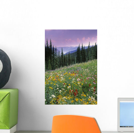 Alpine Wildflower Meadow Wall Mural