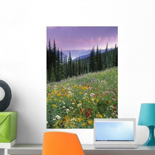 Alpine Wildflower Meadow Wall Mural