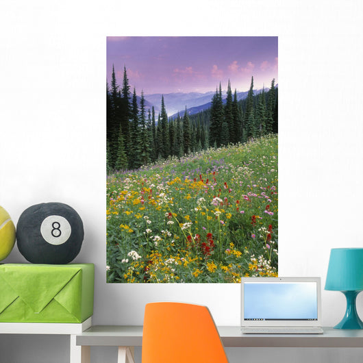 Alpine Wildflower Meadow Wall Mural