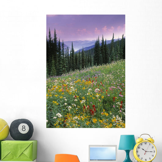 Alpine Wildflower Meadow Wall Mural