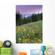 Alpine Wildflower Meadow Wall Mural