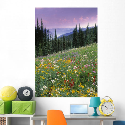 Alpine Wildflower Meadow Wall Mural