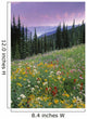 Alpine Wildflower Meadow Wall Mural