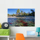Spawning Sockeye Salmon, Adams River, British Columbia Wall Mural