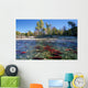 Spawning Sockeye Salmon, Adams River, British Columbia Wall Mural