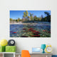 Spawning Sockeye Salmon, Adams River, British Columbia Wall Mural