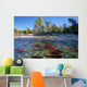 Spawning Sockeye Salmon, Adams River, British Columbia Wall Mural
