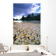 Cottonwood Leaves On Peace River, British Columbia Wall Mural