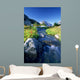 Nabob Pass, Mt Mercator, Waddington Area, British Columbia Wall Mural