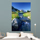 Nabob Pass, Mt Mercator, Waddington Area, British Columbia Wall Mural