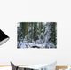 Winter, Cathedral Grove, British Columbia Wall Mural