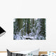 Winter, Cathedral Grove, British Columbia Wall Mural