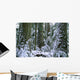Winter, Cathedral Grove, British Columbia Wall Mural