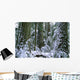 Winter, Cathedral Grove, British Columbia Wall Mural