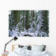Winter, Cathedral Grove, British Columbia Wall Mural