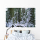 Winter, Cathedral Grove, British Columbia Wall Mural