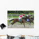 Horse racing at Belmont Track Long Island NY Wall Mural