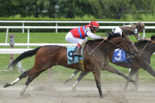 Horse racing at Belmont Track Long Island NY Wall Mural