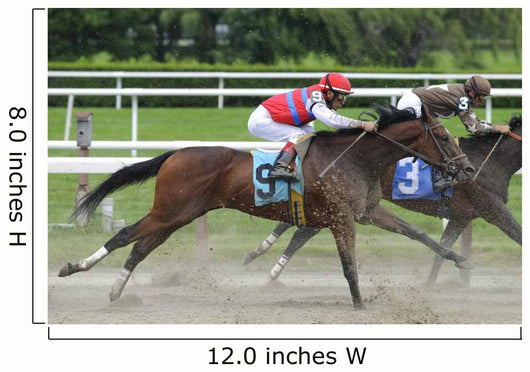 Horse racing at Belmont Track Long Island NY Wall Mural