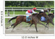 Horse racing at Belmont Track Long Island NY Wall Mural