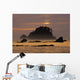 Sunset At Olympic National Park, Cape Alava, Washington State Wall Mural