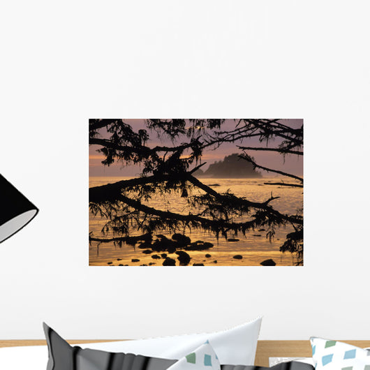 Sunset At Olympic National Park, Cape Alava, Washington State Wall Mural