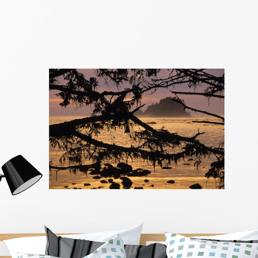 Sunset At Olympic National Park, Cape Alava, Washington State Wall Mural
