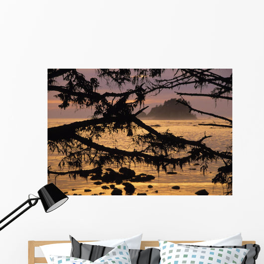 Sunset At Olympic National Park, Cape Alava, Washington State Wall Mural