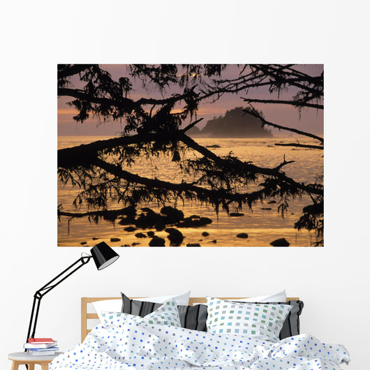 Sunset At Olympic National Park, Cape Alava, Washington State Wall Mural