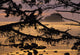 Sunset At Olympic National Park, Cape Alava, Washington State Wall Mural