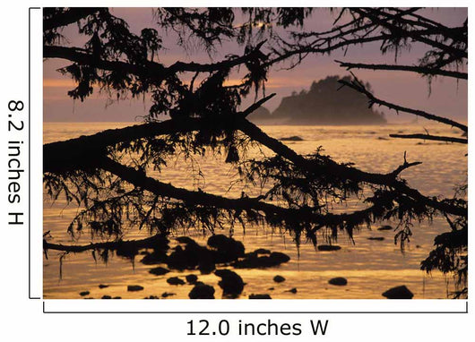 Sunset At Olympic National Park, Cape Alava, Washington State Wall Mural