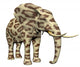 Elephant Big Cat Fur Wall Mural