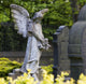 Cemetery Angel Wall Mural