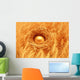Wealth In Agriculture Concept, Golden Egg In Wheat Field Wall Mural
