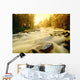 Flowing Water In Rushing River Provincial Park Near Kenora Ontario Wall Mural