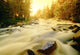 Flowing Water In Rushing River Provincial Park Near Kenora Ontario Wall Mural