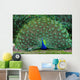 Peacock with Fanned Tail