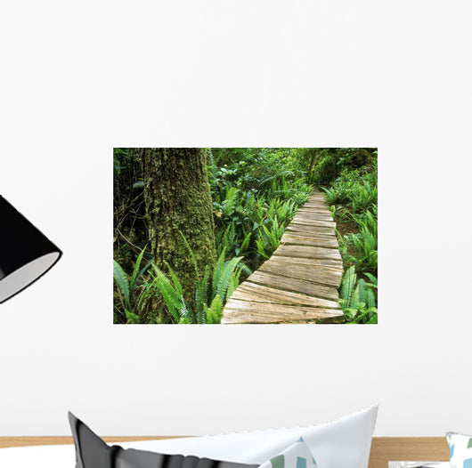 Boardwalk Big Tree Trail In Temperate Rainforest Wall Mural