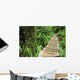Boardwalk Big Tree Trail In Temperate Rainforest Wall Mural